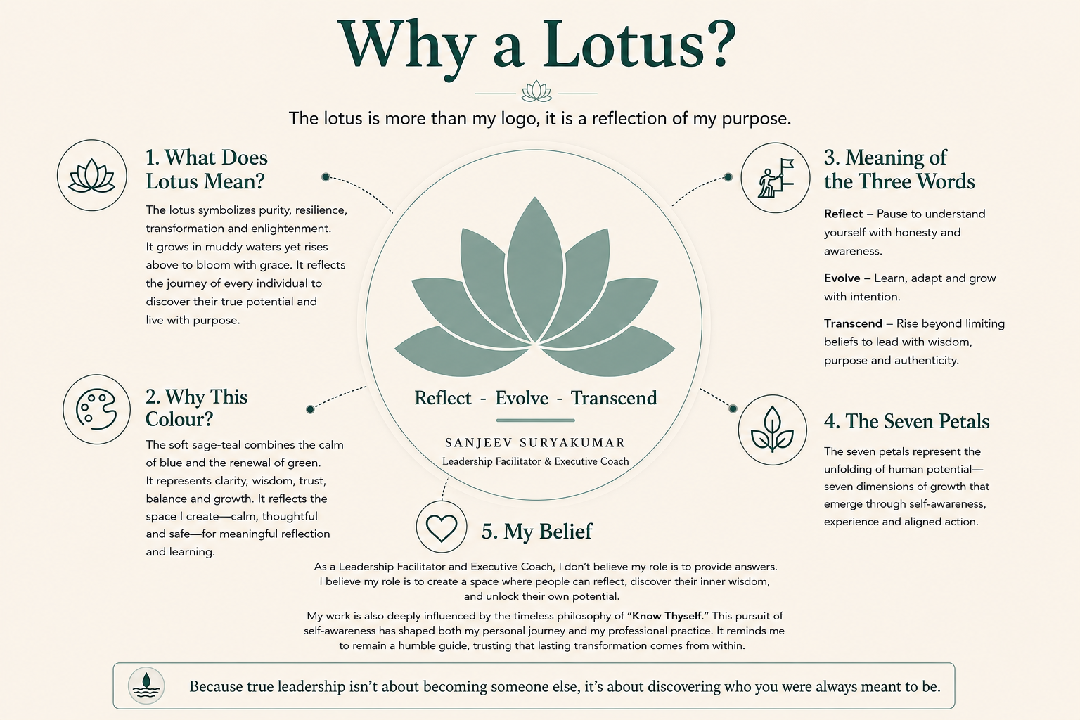 The story behind the lotus logo: meaning, colour, the three words, seven petals, and belief